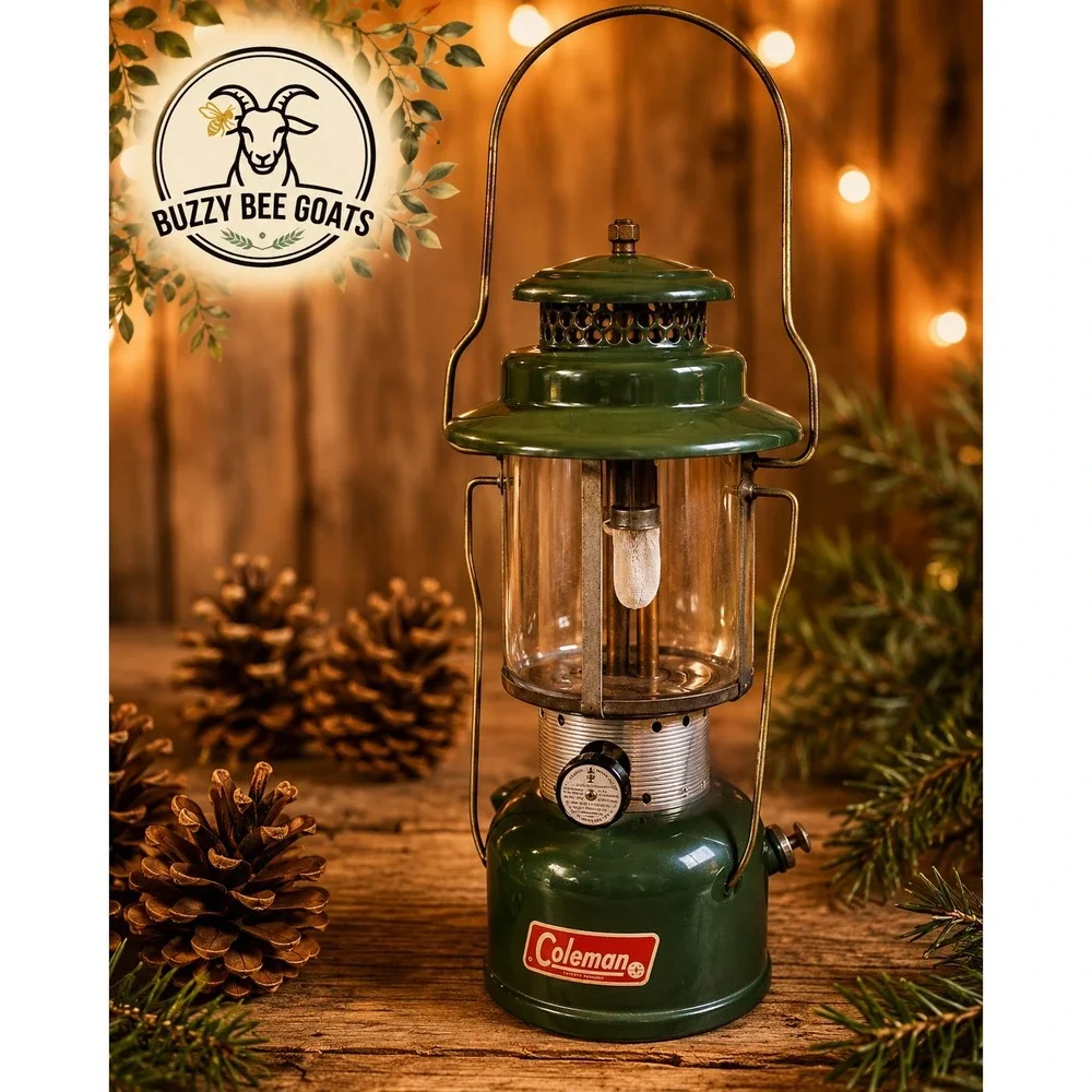 Coleman Lantern 220F Dated Feb 1966 Double Mantle Green Camping Vintage USA